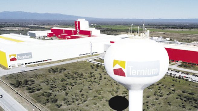 mercado. Ternium tiene operaciones en Argentina, México, Brasil, Colombia, Estados Unidos y América Central.