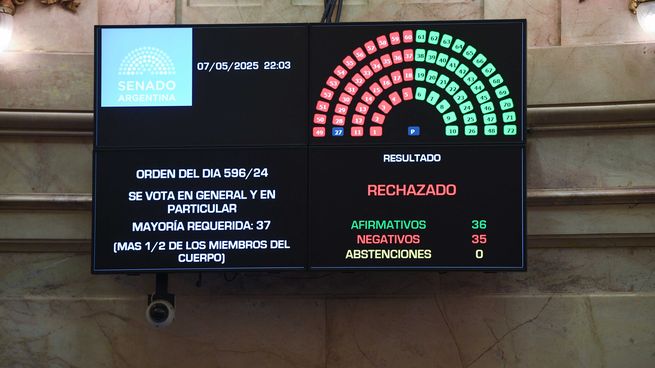 Por un voto, el Senado rechazó Ficha Limpia.