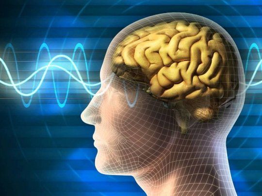 Gimnasia para el cerebro.&nbsp;