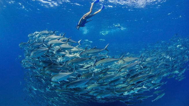 What You Do Counts: National Geographic Debuts Podcast Series