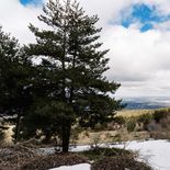 Un hallazgo especial para el futuro de la minería inteligente Un hallazgo especial para el futuro de la minería inteligente