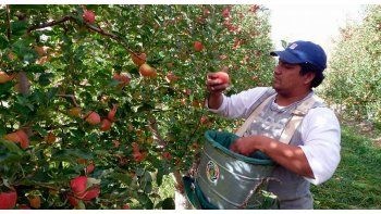 Productores regalarán peras y manzanas el martes en Plaza de Mayo