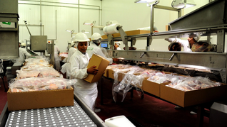 El piso de Uruguay son 20.790 toneladas anuales: cualquier número por debajo sería leído como una derrota diplomática. El piso de Uruguay son 20.790 toneladas anuales: cualquier número por debajo sería leído como una derrota diplomática.