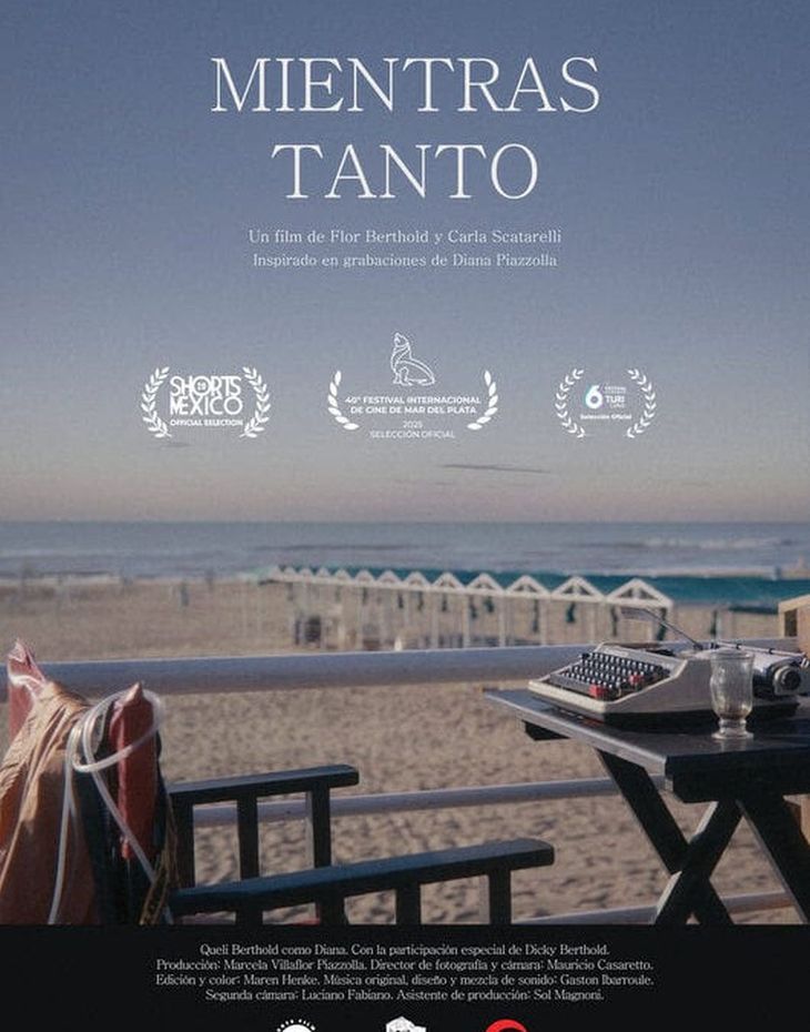 "Mientras tanto", el trabajo de Marcela Piazzolla.