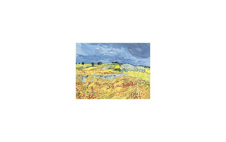 ámbito.com | La última obra de Vincent Van Gogh no tuvo comprador en una reciente subasta, demostrando la suba desmedida del mercado de arte internacional; así y todo, el arte sigue siendo una buena inversión.
