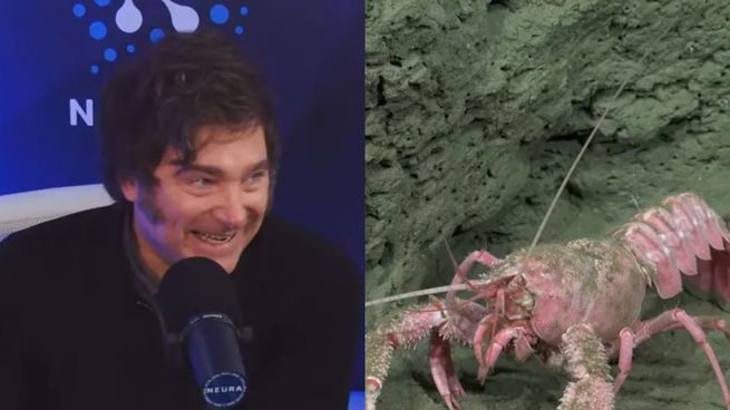 Mientras Javier Milei hablaba en Neura, más gente miraba el streaming del CONICET.