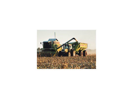 El rendimiento promedio del cereal se encuentra en 9,44 toneladas por hectárea.