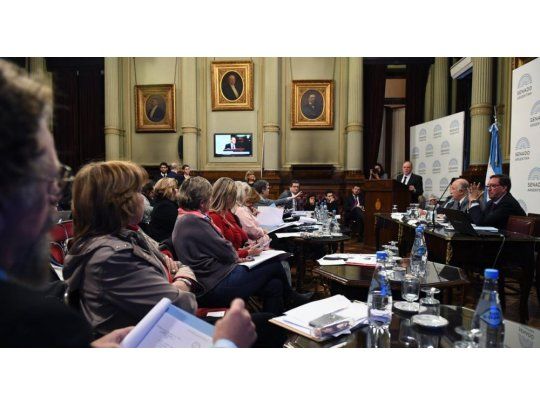 Aborto legal: nuevos cruces y confrontaciones entre senadores y expositores