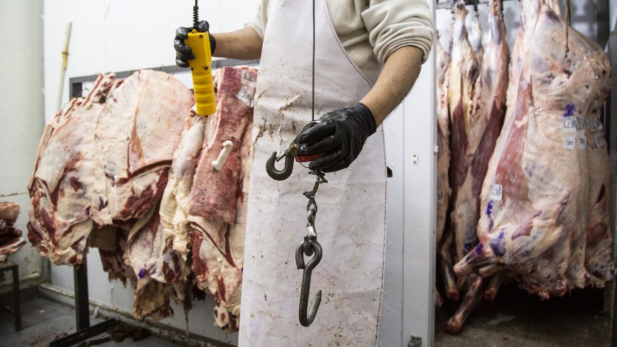 Solmi estimated that this year meat exports will be close to the second historical record