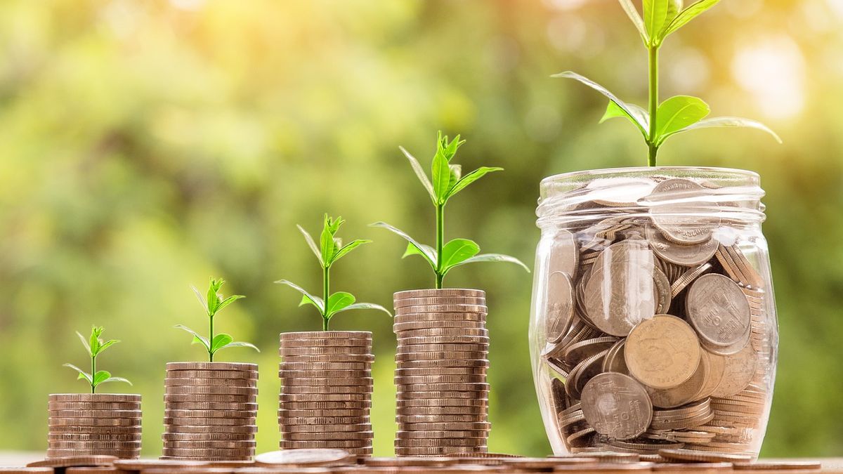 a project seeks to structure investments with environmental impact