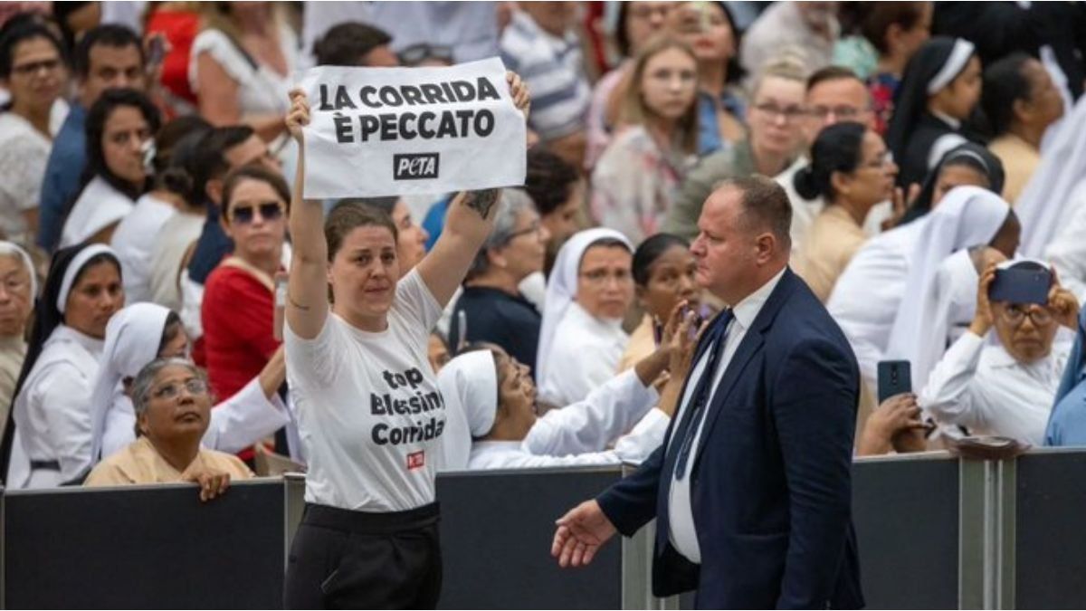 Pope Francis’ audience was interrupted by animal rights activists