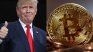 Aunque una administración de Trump parecería la opción más favorable para Bitcoin, su destino luce independiente de los resultados electorales en EEUU.