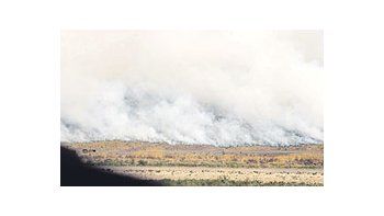 ámbito.com | Los bomberos siguieron ayer combatiendo focos de fuego en el delta de Zárate. Ahora lascortinas de humo dependen de posibles lluvias que terminen de extinguir las llamas.