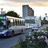 Los colectivos del área metropolitana de Salta no funcionan de noche. Los colectivos del área metropolitana de Salta no funcionan de noche.