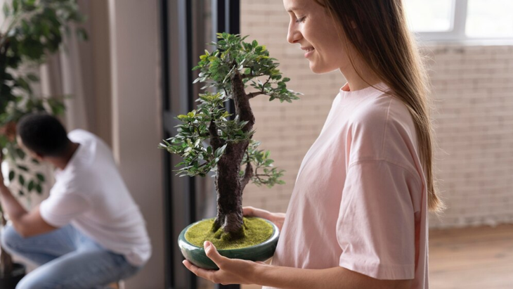 Feng Shui: en qué casos se puede tener un bonsái en la casa Feng Shui: en qué casos se puede tener un bonsái en la casa