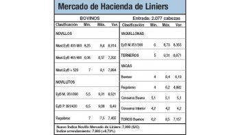 Subas por escasa oferta de animales