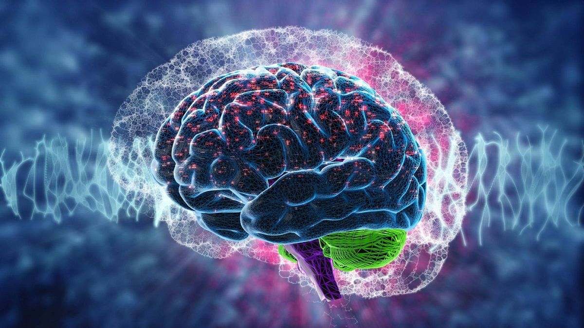 They claim that the seasons of the year affect our brain