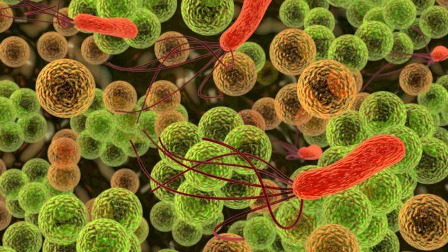 A nivel mundial, la resistencia antimicrobiana estaría vinculada a 4,71 millones de muertes anuales, segun datos difundidos por el Ministerio de Salud.&nbsp;
