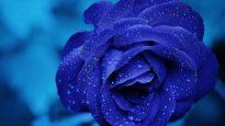 Qué dice la psicología sobre el color azul.