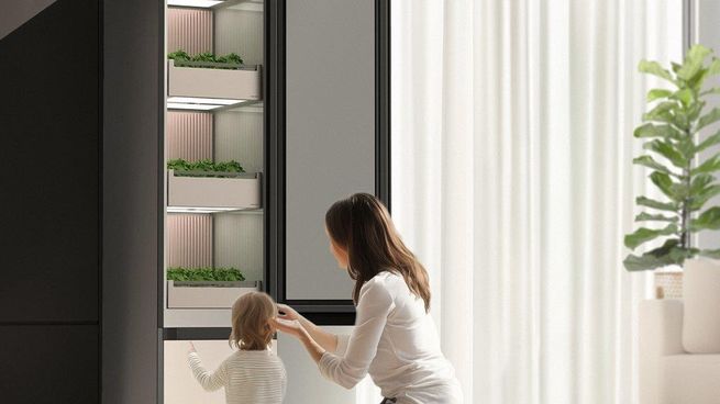 AI Plant Box, el dispositivo creado por Daedong, permite a millones cultivar vegetales y hierbas frescas en casa con tecnología de inteligencia artificial.