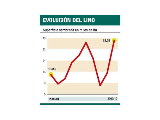 Creció superficie cultivo de lino
