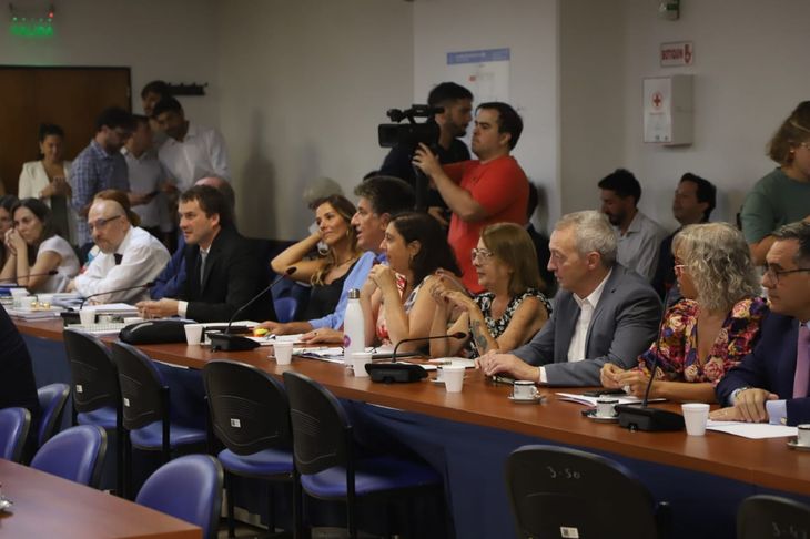Diputados Juicio Político 4.jpeg