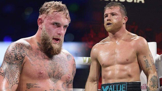 Jake Paul Quiere Enfrentar A Canelo álvarez Tras Ser Noqueado Por