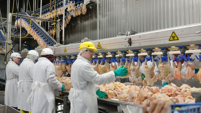Pilgrim’s México invierte millones de dólares.