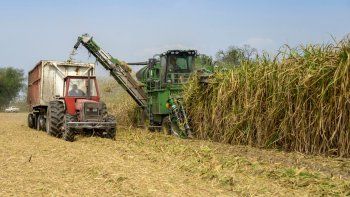 Desde UNINOA sostienen que las medidas de asistencia crediticia y de financiamiento instrumentadas por Naci&oacute;n &ldquo;apenas alcanzaron a un 5% de las industrias radicadas en el NOA y NEA&rdquo;.