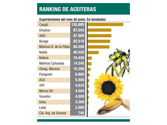 Ranking de exportadores (que están en la mira de la Afip)