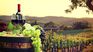 Beber menos, pero mejor es el mantra de los nuevos consumidores que buscan calidad y experiencias premium en el vino. 
