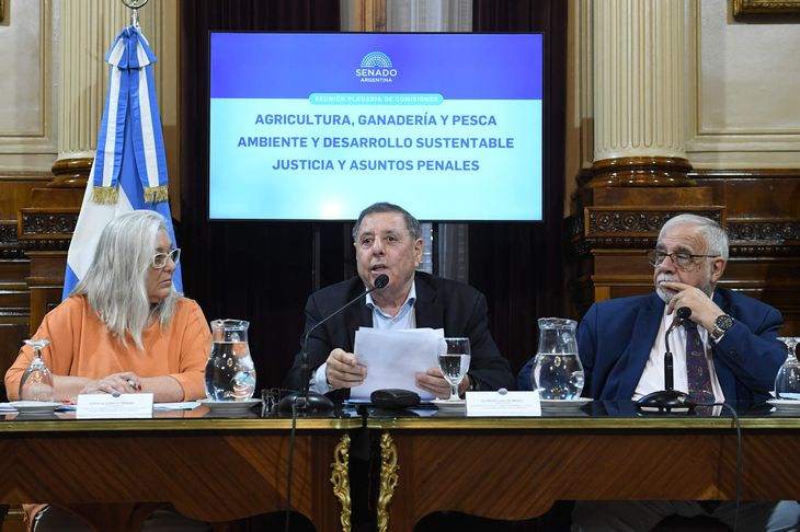 Edith Terenzi, Alfredo De Angeli y Juan Carlos Pagotto, autoridades del plenario del Senado.