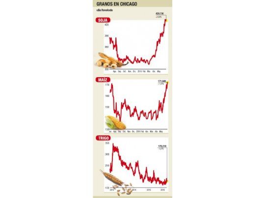 Maíz con firmeza en Chicago