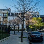 La justicia porteña dispuso frenar nuevas habilitaciones comerciales en Barrio Parque. La justicia porteña dispuso frenar nuevas habilitaciones comerciales en Barrio Parque.