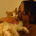 El Día de Abrazar a tu Gato se celebra cada 4 de junio para promover el cariño a esas mascotas. El Día de Abrazar a tu Gato se celebra cada 4 de junio para promover el cariño a esas mascotas.