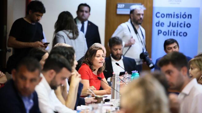Vanesa Siley, en la comisión de Juicio Político donde cruzó a Mario Negri.