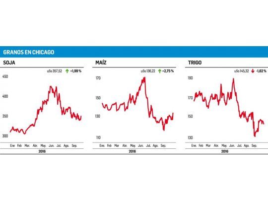 Chicago: subieron soja y maíz aunque bajó trigo