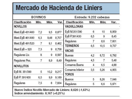 Vaquillonas aumentaron el 1%