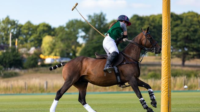 caballos-polojpg