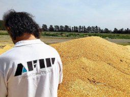 la afip detecto 113 toneladas de granos sin declarar en el noreste argentino