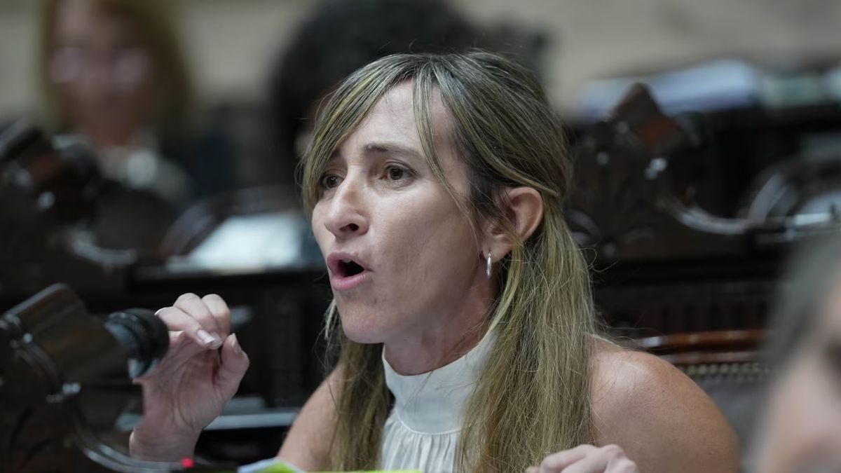 Mercedes Llano asumi� la presidencia del Partido Dem�crata Nacional