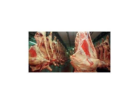 Establecen requisito para faena de hacienda