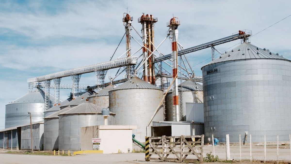 Exports of the agro-industrial sector grew 11% annually in November