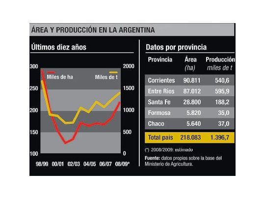 El arroz pierde otra chance