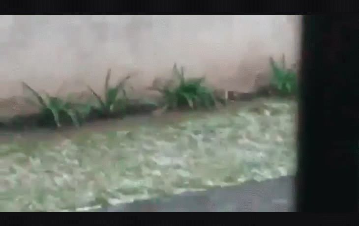 Mar del Plata amaneció cubierta de nieve 28 años después