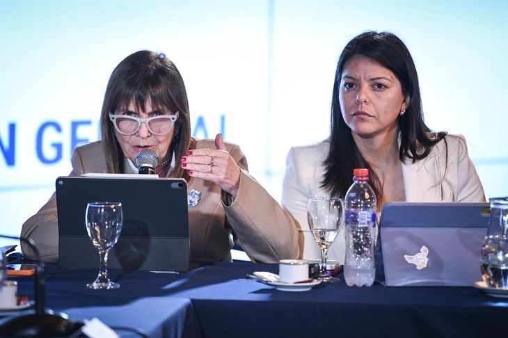 Tras dictaminar Salud Mental, Bullrich quiere sesionar en el Senado.