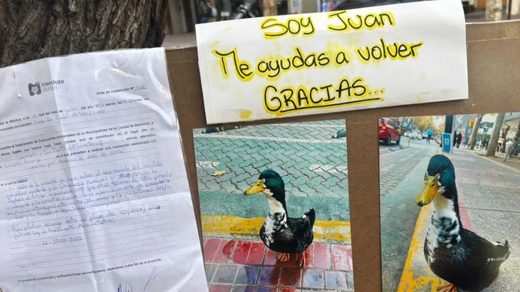 Juntan firmas para que el pato Juan vuelva a las calles Juntan firmas para que el pato Juan vuelva a las calles