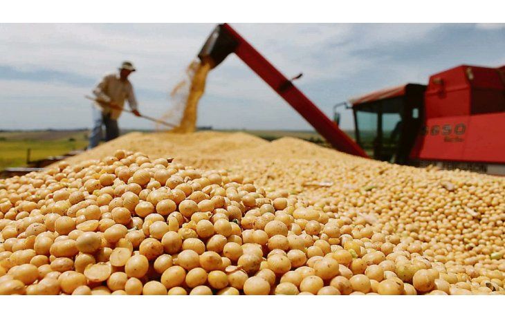 ámbito.com | no alcanza. Este año comenzó a regir una reducción del 0,5% mensual que habrá de finalizar el año en un 24% pero esto continúa siendo insuficiente en un contexto de bajas productivas por la sequía.