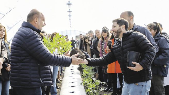 iniciativa. Perotti señaló que los desarrollos medicinales se aceleraron por el pedido de las madres de hijos necesitados de tratamientos a través de aceite de cannabis.