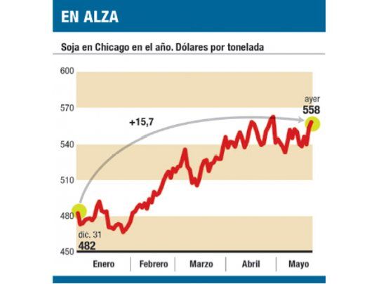 La soja sube en el año un 15,7% (a u$s 558)